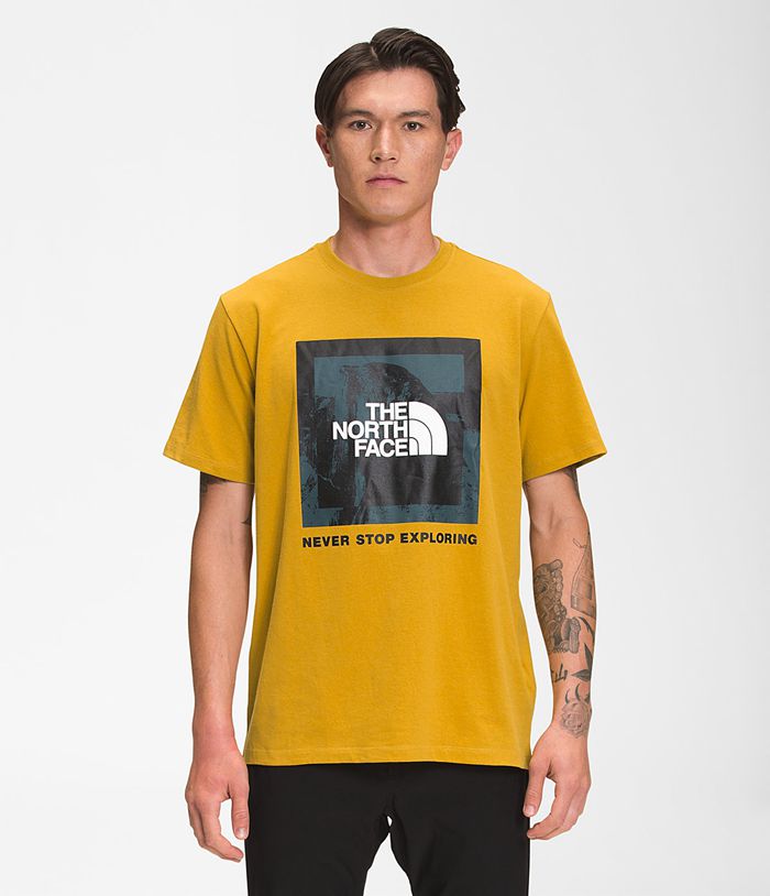 Camiseta The North Face Hombre Recycled Climb Gráfico Manga corta Amarillo - Peru 41735GERK